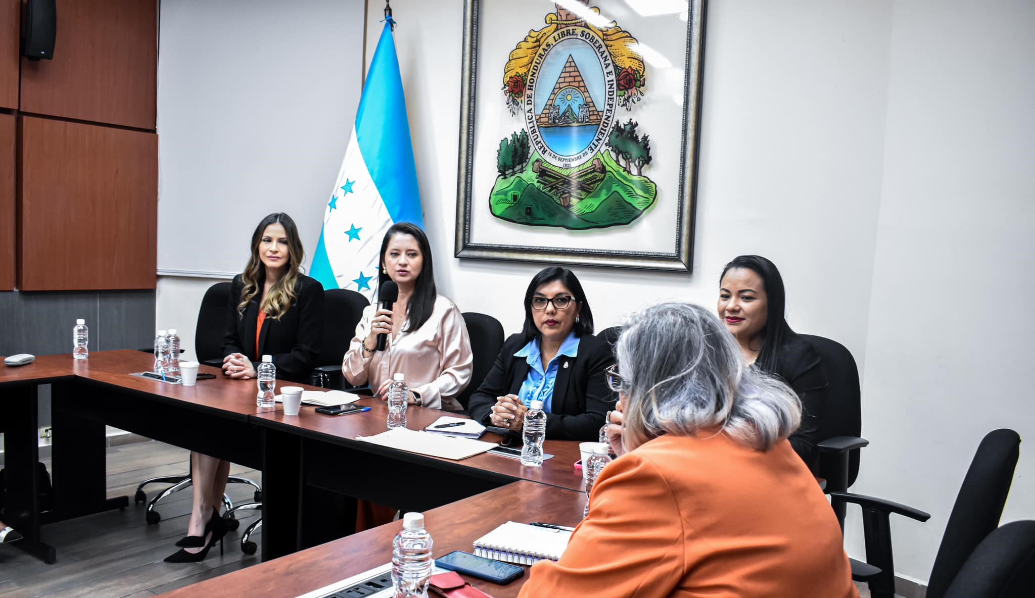 Violencia de género en la política hondureña: diputadas en pie de lucha