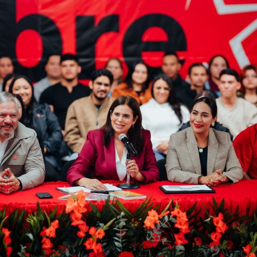 Presiones y sabotaje al CNE denunciados para las elecciones de 2025