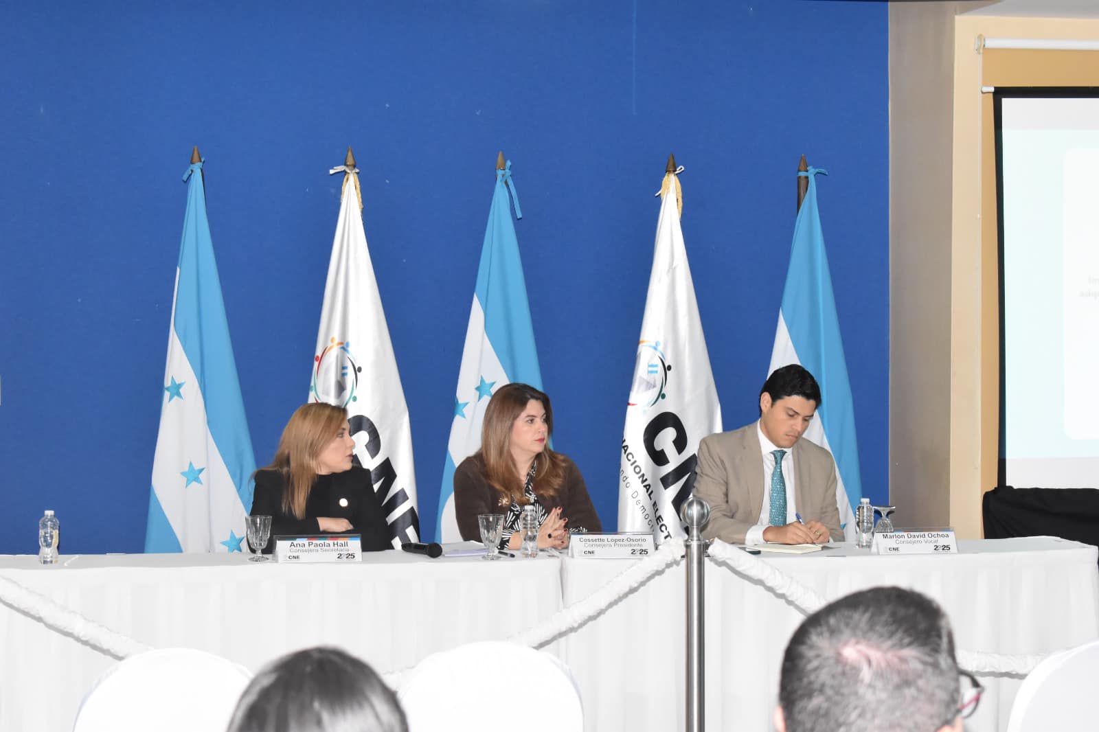 ¿Está LIBRE intentando controlar el CNE en Honduras? ¿Está LIBRE intentando controlar el CNE en Honduras?