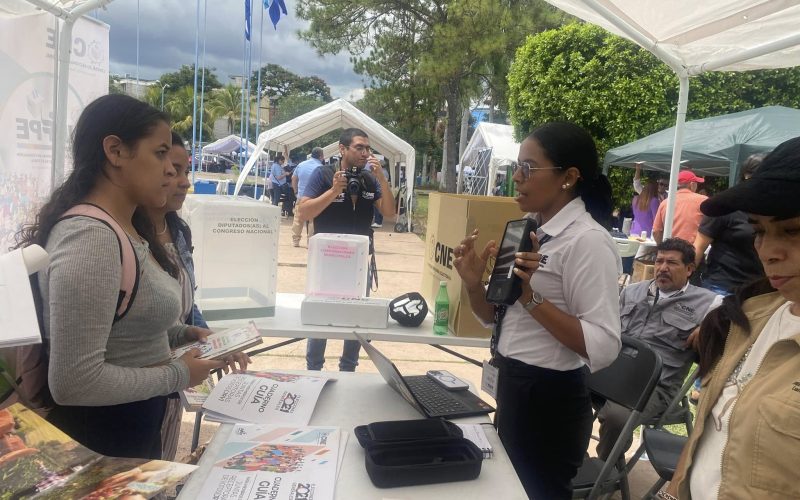 Interferencias políticas en el CNE amenazan la legitimidad electoral