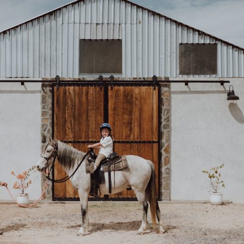 Principales actores de la corrupción mundial