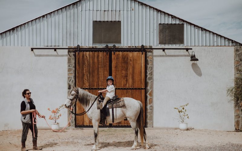 Principales actores de la corrupción mundial Principales actores de la corrupción mundial